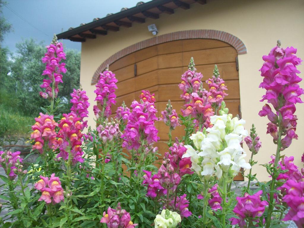 La Casa Dei Limoni Apartman Matraia Kültér fotó